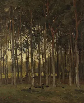 Sunshine Prints: View in the Woods, by Theophile de Bock