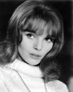 Images Dated 6th April 2007: THE V.I.P.S, Elsa Martinelli, 1963
