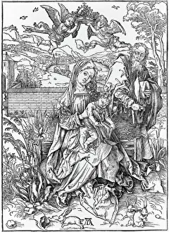 Images Dated 17th August 2007: The Virgin with child holding a book, by Albrecht Durer, circa 1498