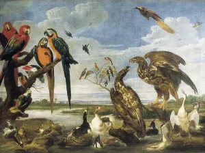 Pool Prints: VOSPaul de (1596-1678). Variety of Birds