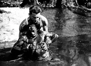 Lifting Prints: THE WAGES OF FEAR, (aka LE SALAIRE DE LA PEUR), Charles Vanel, Yves Montand, 1953