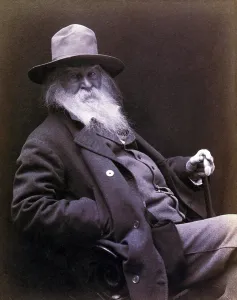 Whitman Prints: Walt Whitman (1819-1892) American poet, author, and journalist in 1877 portrait
