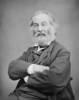 Whitman Prints: Walt Whitman, American 19th century poet in a portrait by Mathew Brady