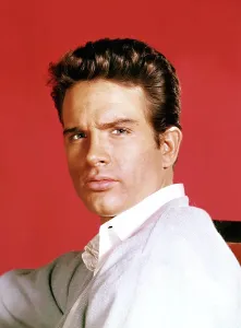 Beatty Prints: Warren Beatty, c. 1960s
