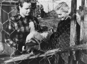 Plaid Jacket Prints: ON THE WATERFRONT, from left: Marlon Brando, Eva Marie Saint, 1954