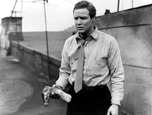 Waterfront Prints: ON THE WATERFRONT, Marlon Brando, 1954