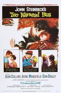 Images Dated 28th October 2013: THE WAYWARD BUS, US poster art, 1957