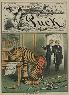 Drawings Prints: Weeping Tammany Tiger with the face of NYC Democratic Boss John Kelly