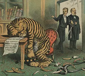 Drawings Prints: Weeping Tammany Tiger with the face of NYC Democratic Boss John Kelly