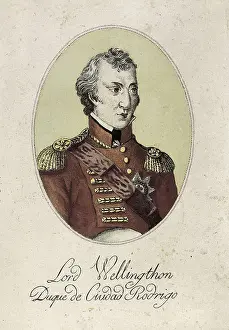 Wellington Prints: Wellington, Arthur Wellesley, 1st Duke of (1769-1852)