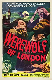 Warner Prints: WEREWOLF OF LONDON, Warner Oland, Henry Hull, 1935