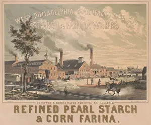 Mills Prints: West Philadelphia Manufacturing Company's Starch & Farina works in 1858