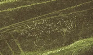 Creative Prints: Whale. 6th-7th c. PERU. ICA. Geoglyph. Nazca art. AISA/Everett Collection**US SALES ONLY**