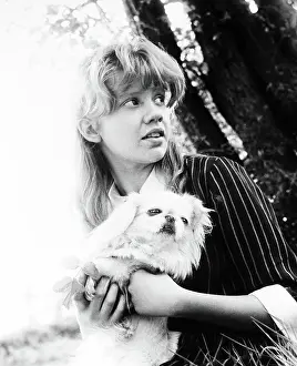 Movpor3 Prints: WHISTLE DOWN THE WIND, Hayley Mills, 1961