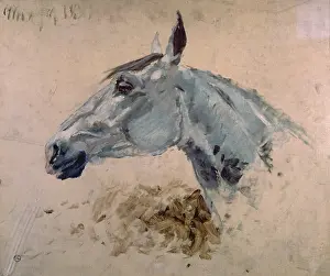 Study Prints: White Gazelle Horse (Cheval blanc gazelle)