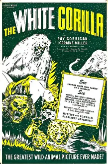 Attacking Prints: THE WHITE GORILLA, US poster, 1945