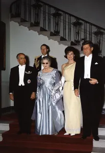 Evening Dress Prints: White House state dinner quests at Grand Stair Case