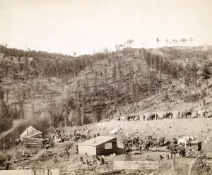 Prairie Prints: Whitewood Canyon, Wade and Jones R