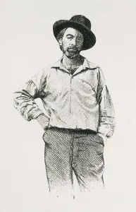 Whitman Prints: WHITMAN, Walt (1819-1892). Portrait of Walt Whitman aged 36 years old