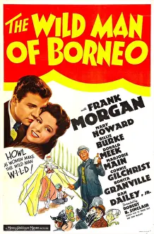 Mary Prints: THE WILD MAN OF BORNEO, US poster, from left: Dan Dailey, Mary Howard, Frank Morgan, 1941