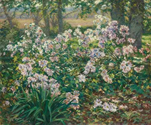 Close View Prints: WINDFLOWERS, by Ruger Donoho, 1912, American painting, oil on canvas