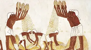 Al Uqsor Prints: Winnowing of the grain in the threshing floor