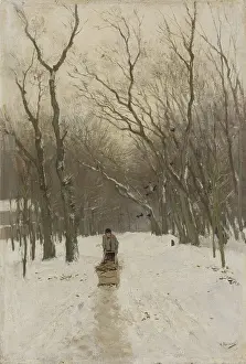 Frozen Prints: Winter in the Scheveningse Bushes