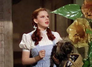 Dress Prints: THE WIZARD OF OZ, Judy Garland, 1939