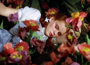 Dress Prints: THE WIZARD OF OZ, Judy Garland, 1939
