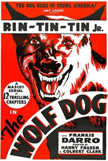 Serial Prints: THE WOLF DOG, Rin Tin Tin Jr. 1933