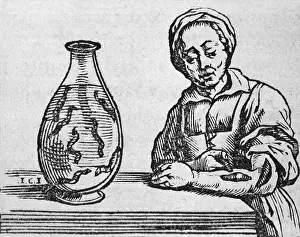 1570s Prints: Woman applying a medicinal leech to her forearm