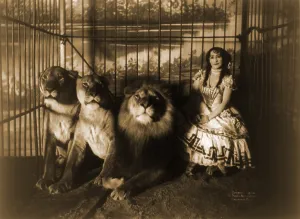 Lion Tamer Prints: Woman circus performer named Adjie seated in a cage with three lions. 1899
