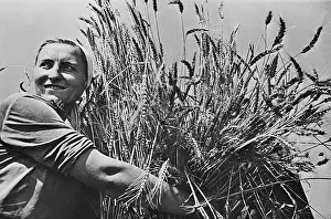 Russians Prints: Woman collective farmer with newly harvested wheat