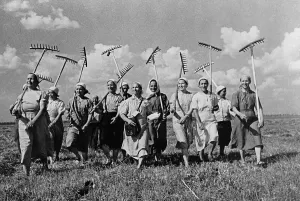 Harvest Prints: Women collective farmers replace the men who are fighting in World War 2
