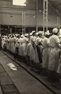 Manufacture Prints: Women working in a grapefruit canning factory at Winter Haven, Florida