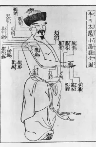 Woodcut Prints: Woodcut illustrating acupuncture points on the left shoulder