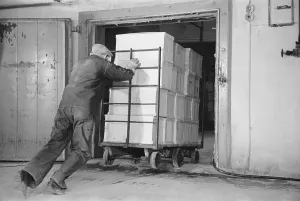 Commodities Prints: Worker pushes a heavy cart of packed eggs into a cold storage warehouse