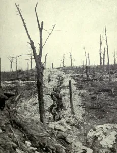 February Prints: World War 1: Battle of Verdun