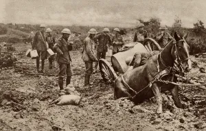Belgium Prints: World War 1. British horse sunk to his haunches in the clinging mud of Flanders
