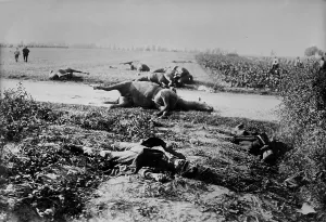 Belgium Prints: World War 1. Dead soldiers and horses in a field after the Battle of Haelen which was fought by the German