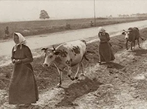 Peasants Prints: World War 1 in Eastern Europe. Refugee women from Warsaw