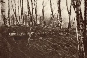 Austria Prints: World War 1 in the Italian and Austrian Alps