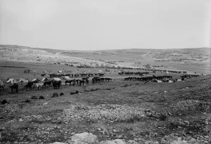 Palestine Prints: World War 1 in the Middle East
