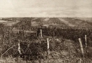 January Prints: World War 1. Miles of barbed wire forms a maze of twisted stands through which attacking troops must penetration
