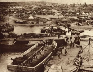 Supplies Prints: World War 1. Supply ships unloading horses