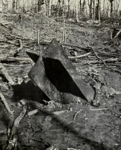 February Prints: World War 1. With its tail-fins showing