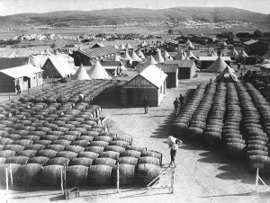 Images Dated 3rd December 2012: World War I Dardanelles Campaign of 1915
