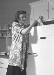 Homemakers Prints: World War II US government photo promoting conservation of durable goods