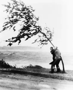 Wind Prints: Two yachtsmen hang desperately to a tree which is almost blown over by hurricane Carol at Wollaston Beach in Quincy