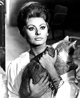 Pod21 Prints: YESTERDAY, TODAY AND TOMORROW, (aka IERI, OGGI, DOMANI), Sophia Loren, 1963